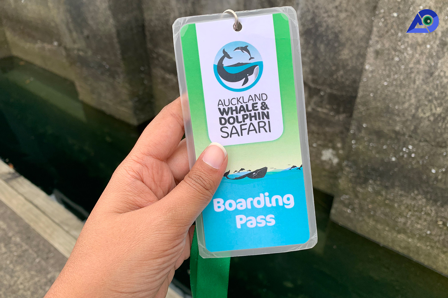 Boarding Pass Auckland Whale And Dolphin Safari