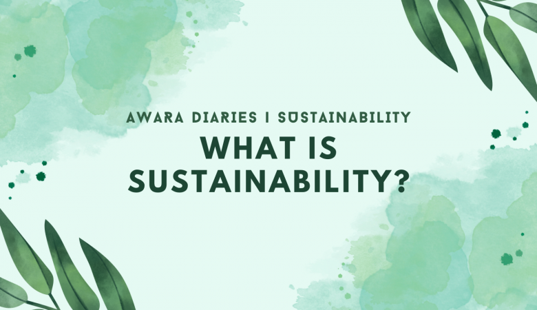 What is sustainability? | Awara Diaries